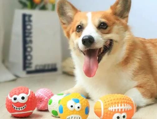 Why are dogs so fascinated with squeaky toys?