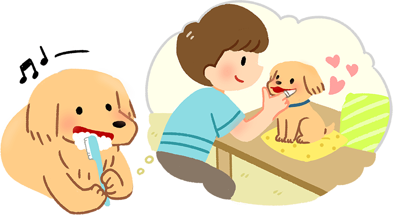 Cultivate the habit of brushing teeth