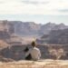 person with dog sitting on Grand Canyon cliff